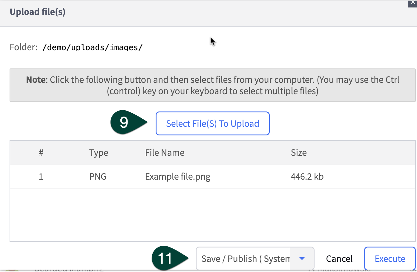 Links and Multimedia 9-11.png